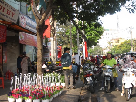 Nhộn nhịp sắm hoa, cây cảnh chiều 30 Tết ảnh 3